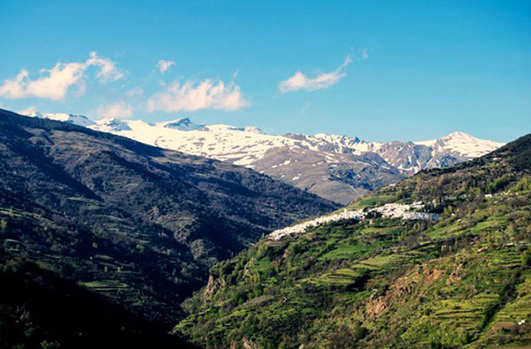 Ruta Capileira-Trevélez - Qué hacer en Capileira