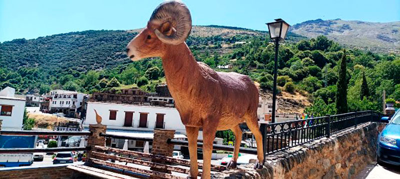 Figura de una cabra montés - Qué ver en Trevélez