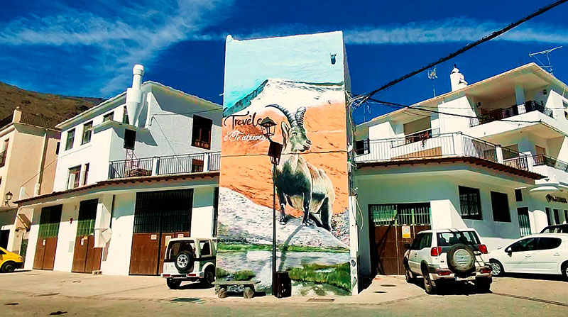 Mural de una cabra montés - Qué ver en Trevélez