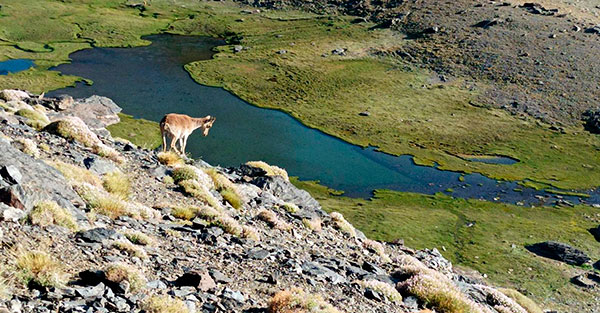 Ruta de senderismo 7 lagunas - Qué hacer en Trevélez