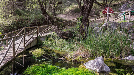 Puente del Mirador Nacimiento de Las Zúas - Júzcar